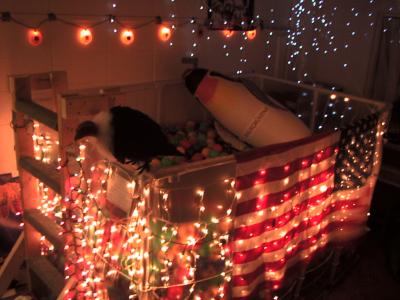 ballpit4